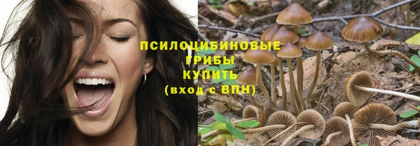 spice Балахна