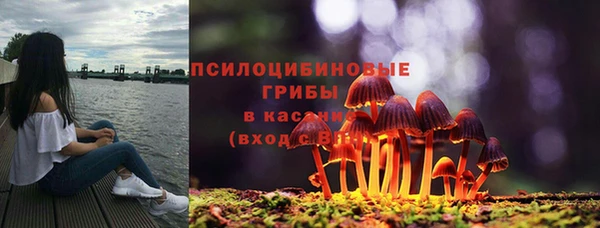 spice Балахна